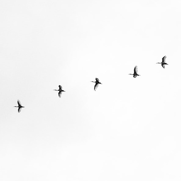 kayla_b_98